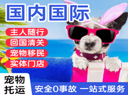 上海机场快运国际宠物托运 【国